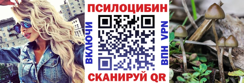 Псилоцибиновые грибы Psilocybe  Первоуральск 